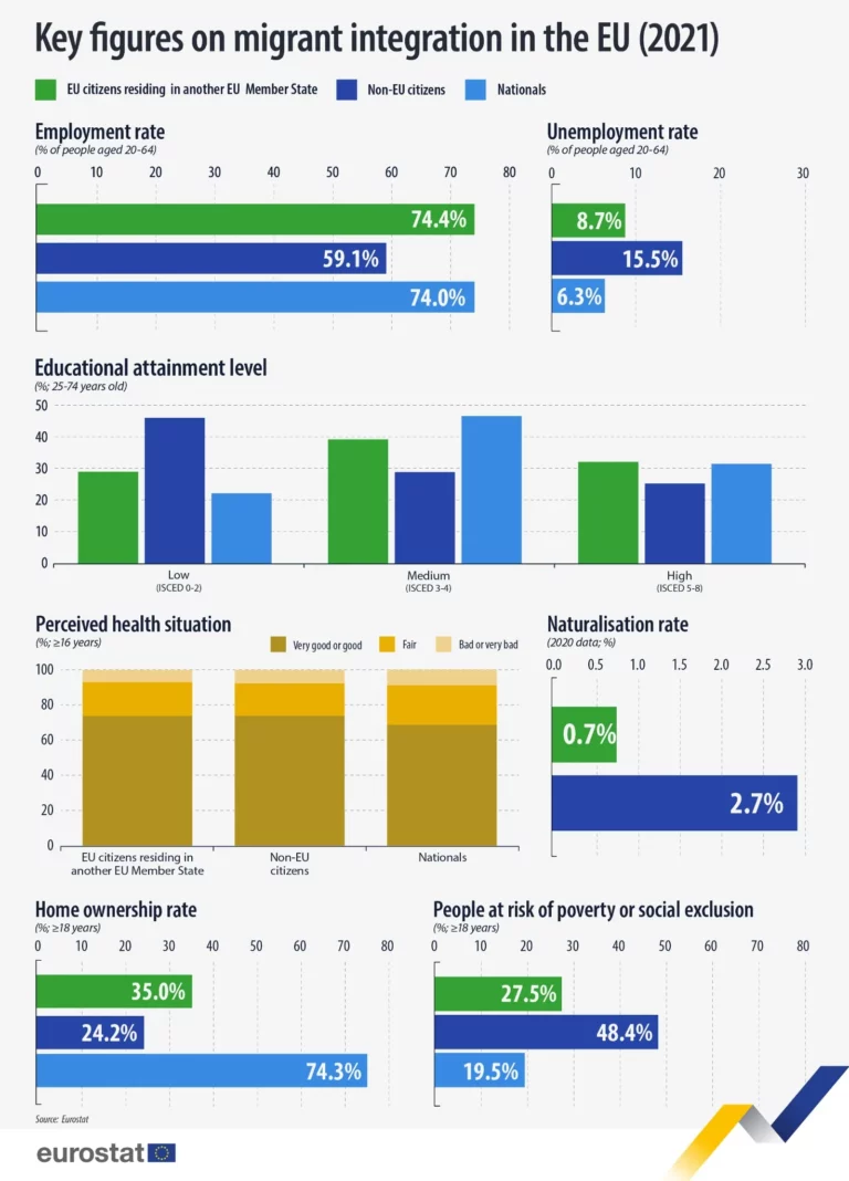 Bar chart showing the types of migrant-led organizations in the EU at national and local levels.